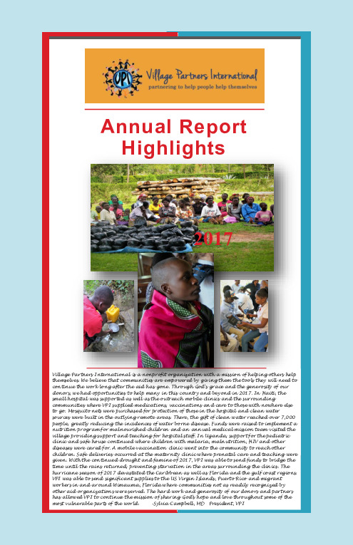 thumbnail of VPI_Annual_Report_2017
