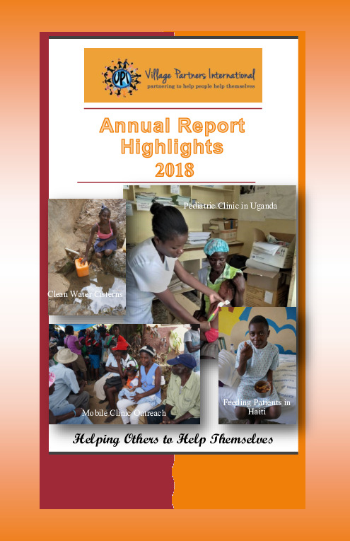 thumbnail of VPI_Annual_Report_2018