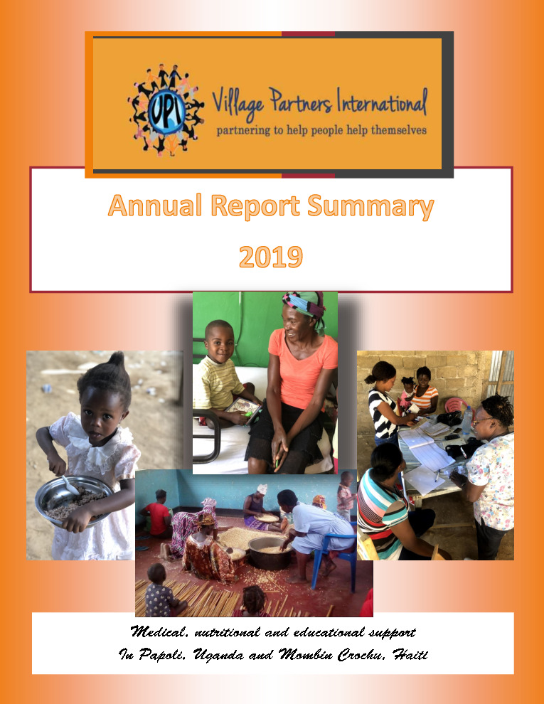 thumbnail of VPI_Annual_Report_2019
