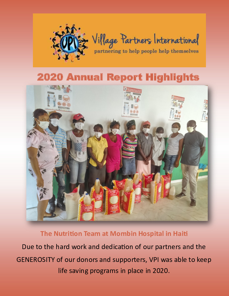 thumbnail of VPI_Annual_Report_2020