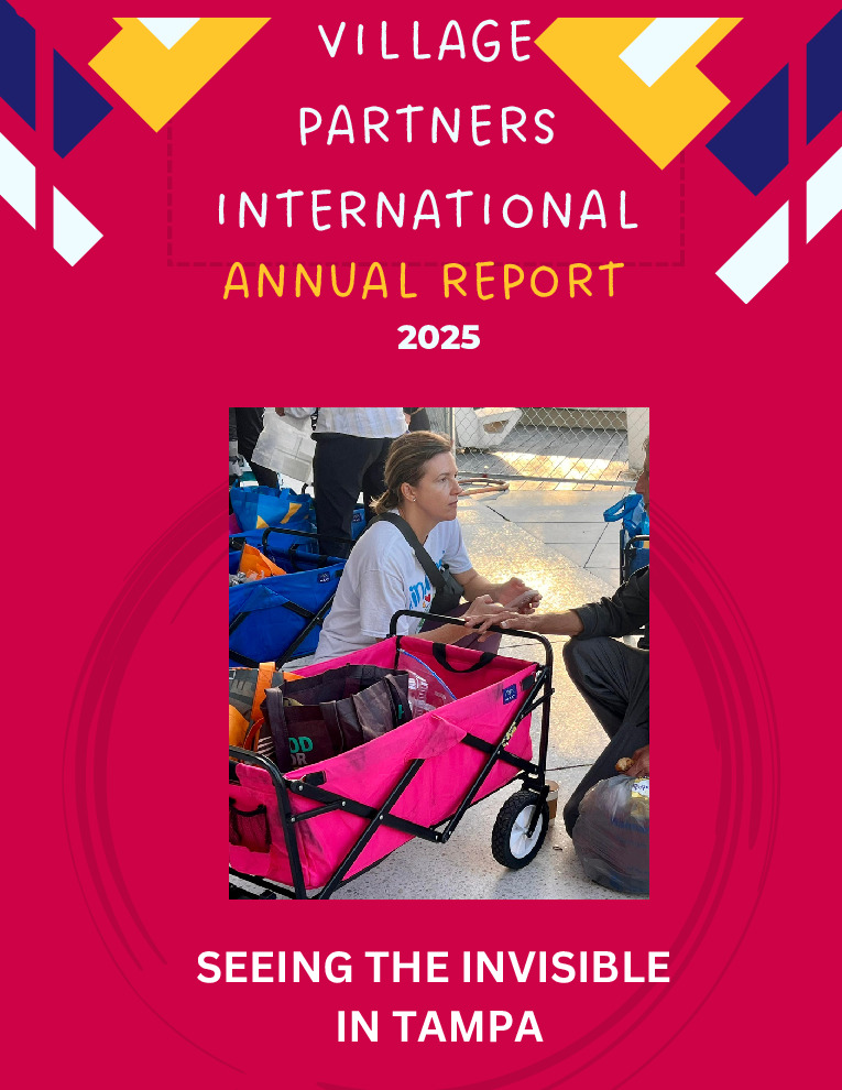 thumbnail of VPI_Annual_Report_2025